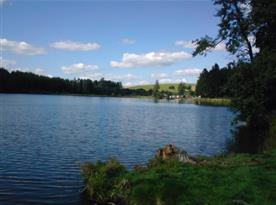 Rybník Medlov (1 km)