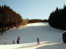 Možnost využít lyžařské středisko Klepáčov