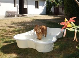 Bazének pro děti i pro psy
