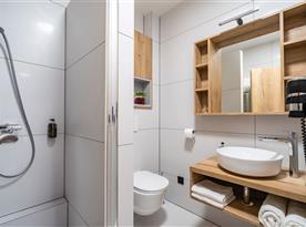 Apartmán De luxe Family & Busines - koupelna se sprchou a toaletou
